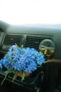 diffuseur voiture