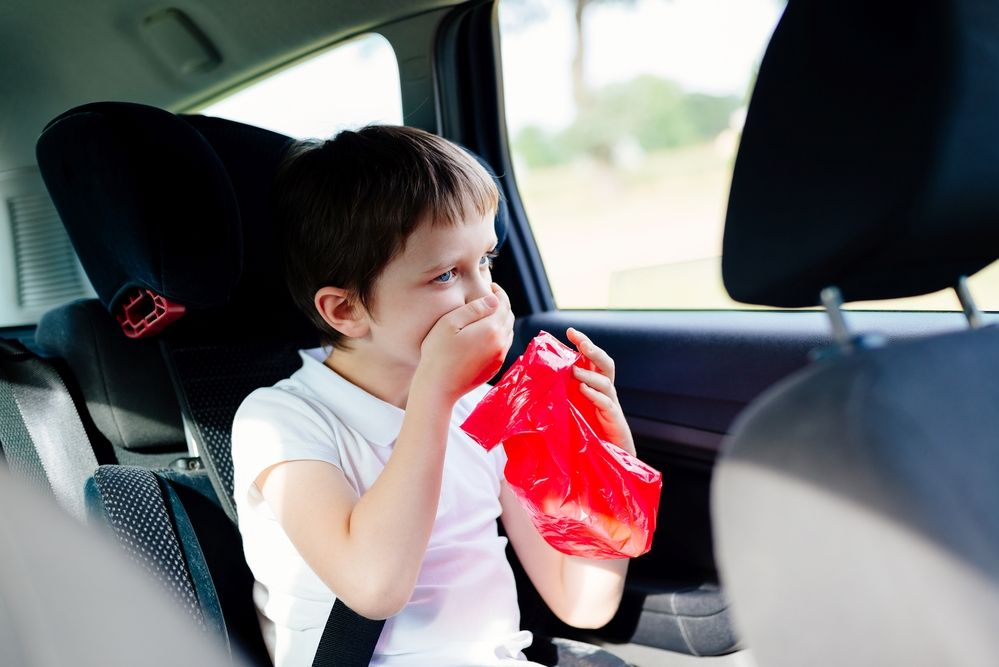 Sacs a Vomi 16Pièce Jetable Sacs à Vomi pour Voiture Mal des Transports et  Nausées, pour Enfant Adulte 1000 ML